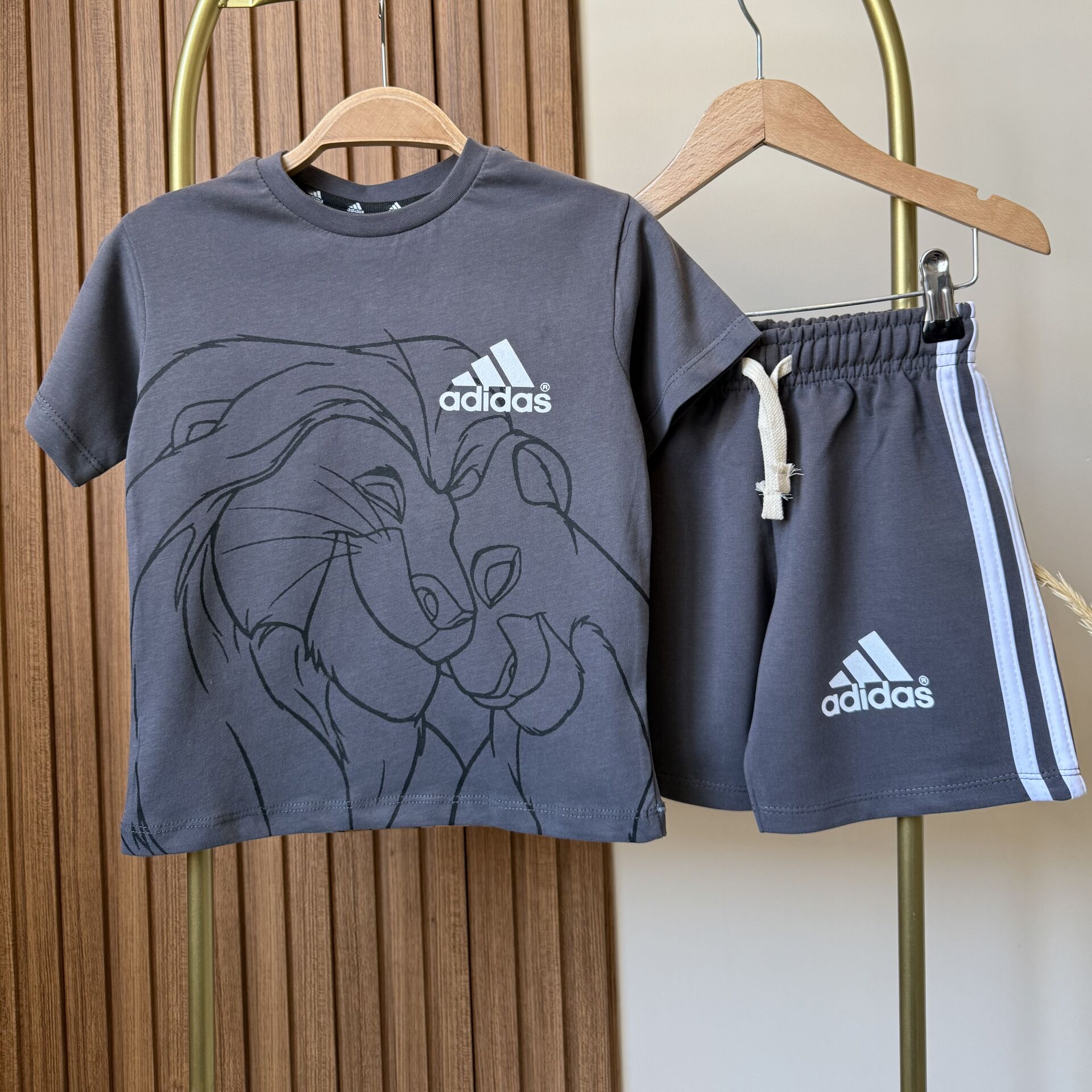 Lion Antrasit Takım