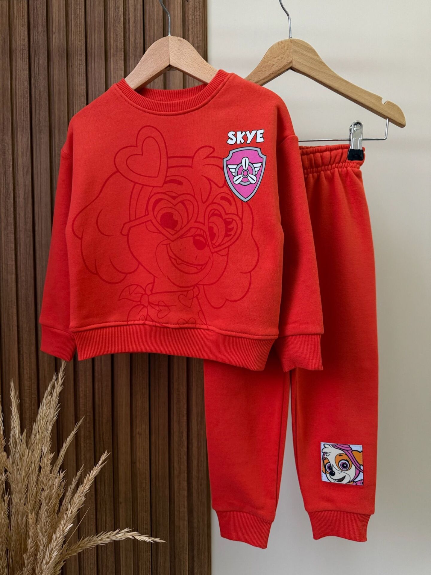 Paw Patrol Baskılı Takım