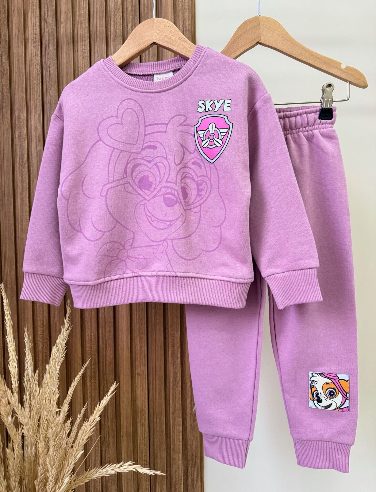 Paw Patrol Baskılı Takım