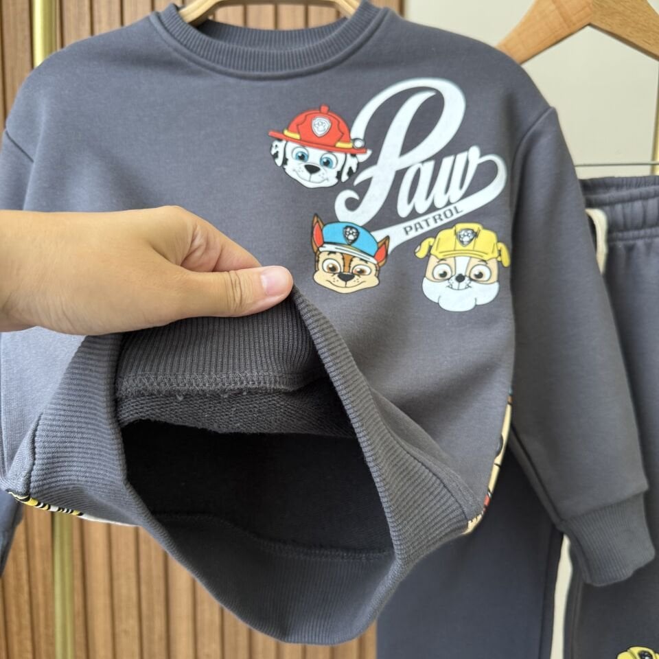 Paw Patrol Takım