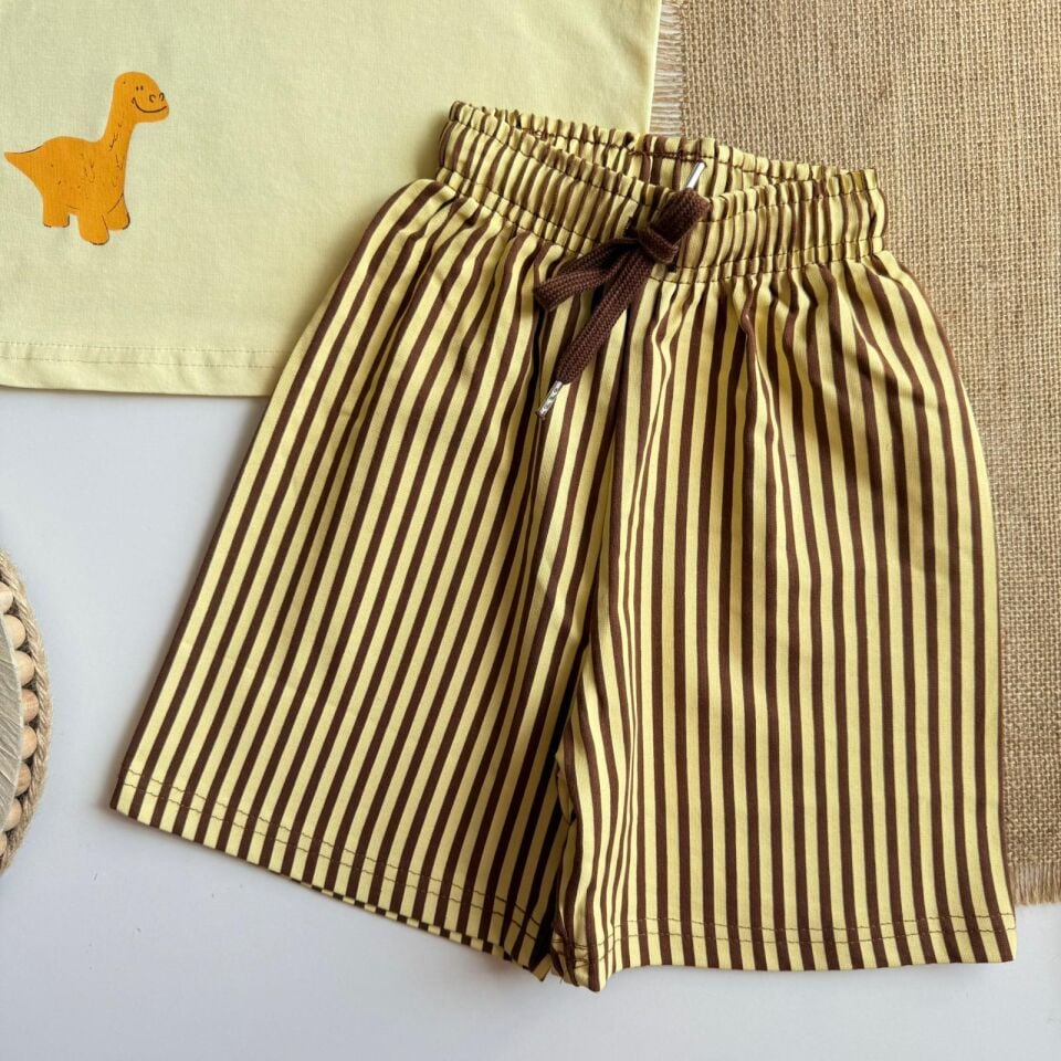 Sarı Çizgili Dino Takım 1-2 YAŞ