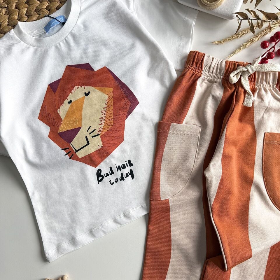 Çizgili Aslanlı Takım 6-7 YAŞ