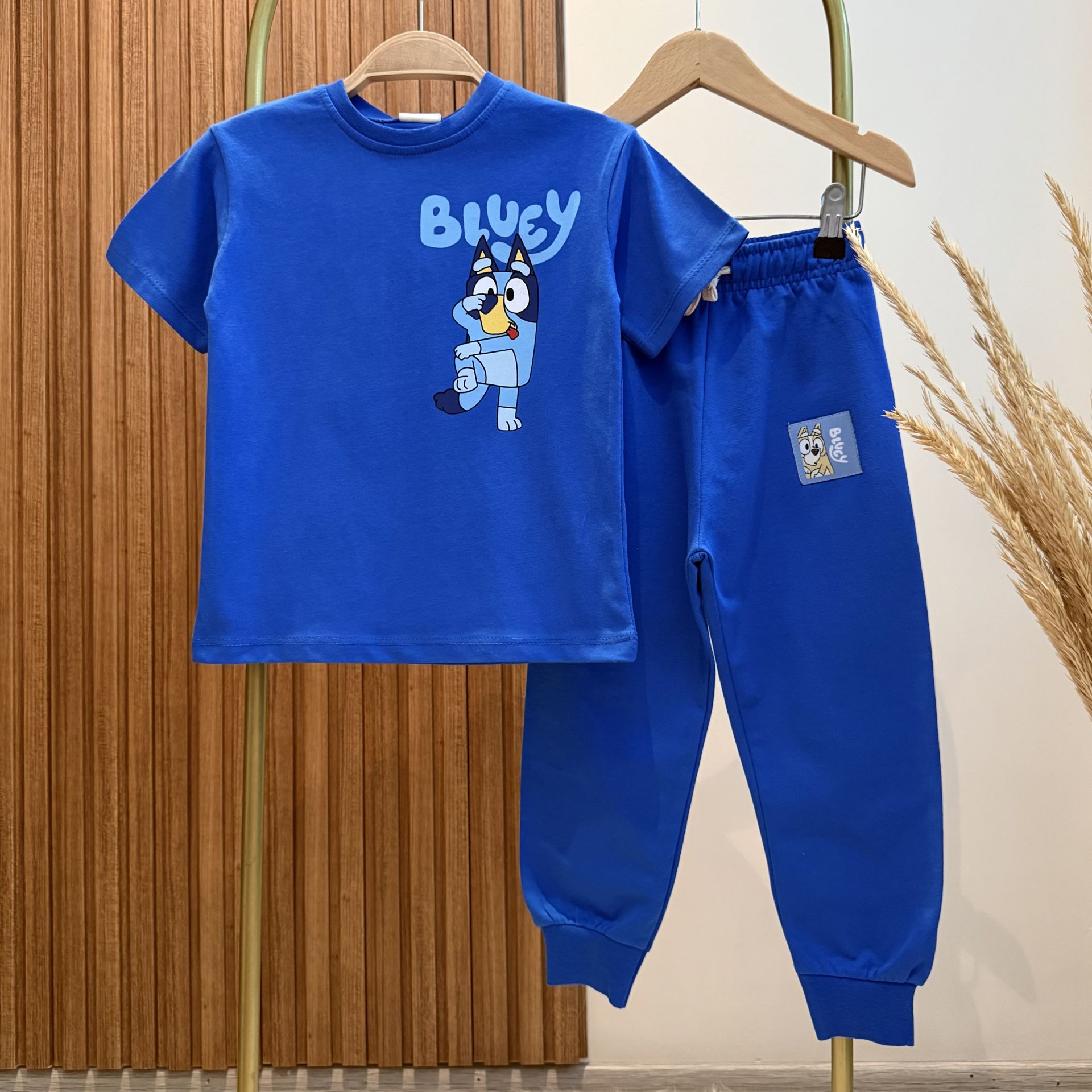Mavi Bluey Baskılı Takım