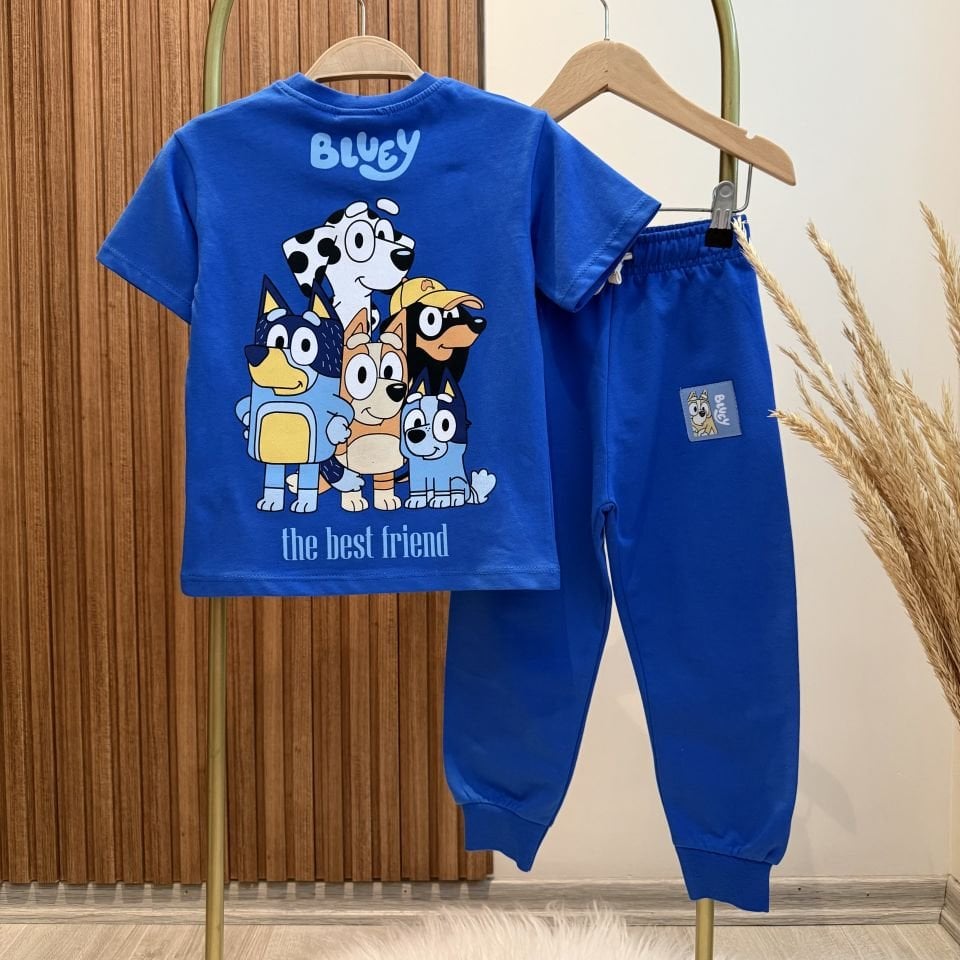 Mavi Bluey Baskılı Takım